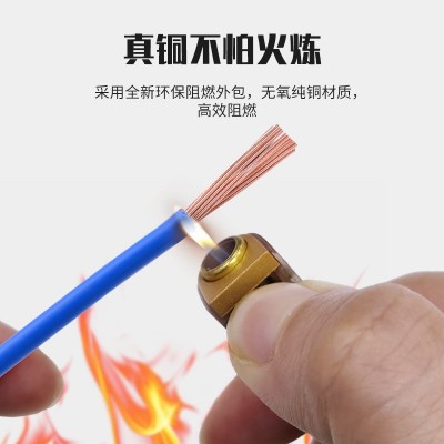珠江电缆ZC-BVR阻燃家用1.5/2.5/4/6平方单支多股国标软电线电缆图4