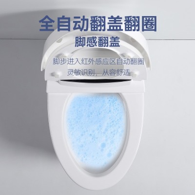 出口英文版智能马桶全自动泡沫盾家用酒店无水压超旋虹吸坐便器图4