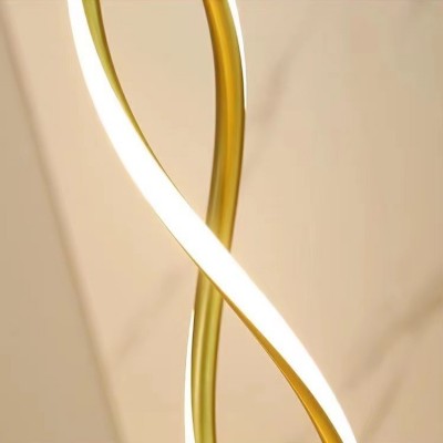 中山新款网红现代简约立式曲线高级感led灯床头背景客厅落地灯图4