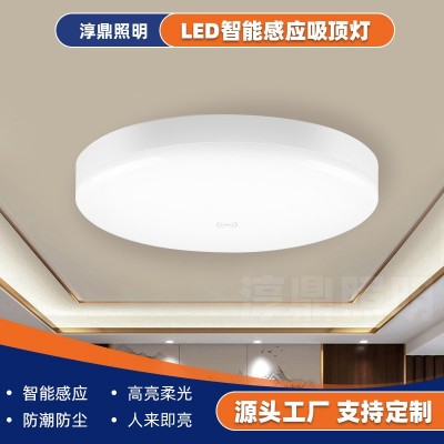 感应LED雷达感应吸顶灯走廊楼梯智能吸顶灯人体声控感应吸顶灯图1