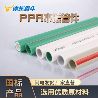工厂直供 PPR管 PPR管件 PPR水管 PPR热水管 PPR管材 水管PPR图1
