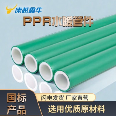 PPR冷热水管 ppr热熔管 管件PPR水管配件 ppr水管 PPR管件 PPR管图1