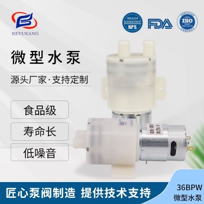 36BPW定制微型隔膜泵咖啡机热水器微型自吸泵微型水泵图1