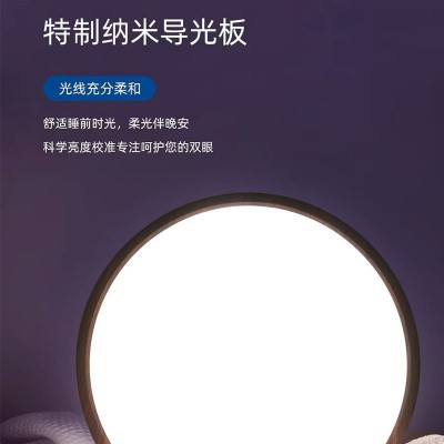 无缝led吸顶灯日式侘寂风走廊过道灯简约胡桃木色卧室房间中山灯图4