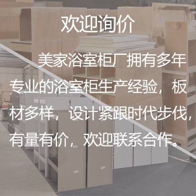 厂家直销批发实木浴室柜烤漆门板智能镜柜陶瓷洗漱盆美家卫浴M025图5