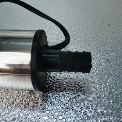 厂家批发51mm微型抽水泵抽油泵12V24V便携式直流不锈 钢潜水加油泵图4