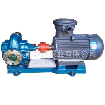 定制KCB-200齿轮油泵柴油润滑机油齿轮油泵化工食品加工配用图5