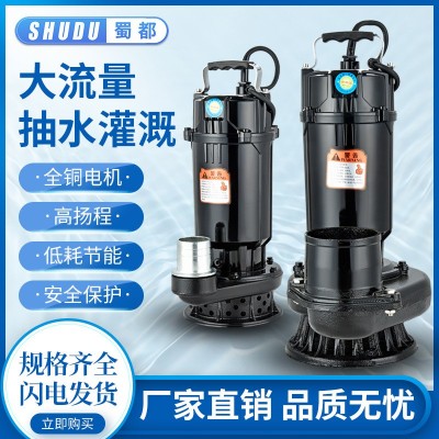 农用220V 1寸2寸3寸4寸四寸潜水泵抽水机大流量高扬程泵鱼塘灌溉图2