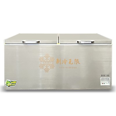 钢制冰柜定做 商用家用冷藏冷冻两用单/双温冷柜铜管不锈钢速冻柜图5
