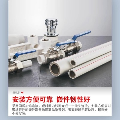 联塑 PPR管材冷热水管4米ppr给水管20 25家用工程自来水管热熔管图2