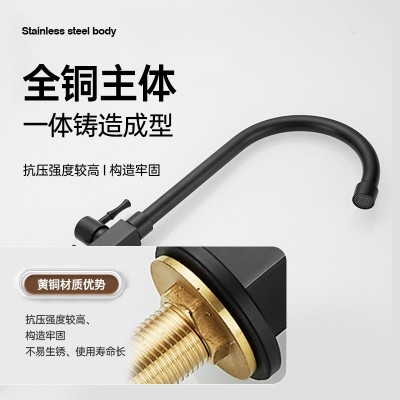 户外仿古水龙头单冷全铜防冻复古洗手盆庭院拖把池快开双用水龙头